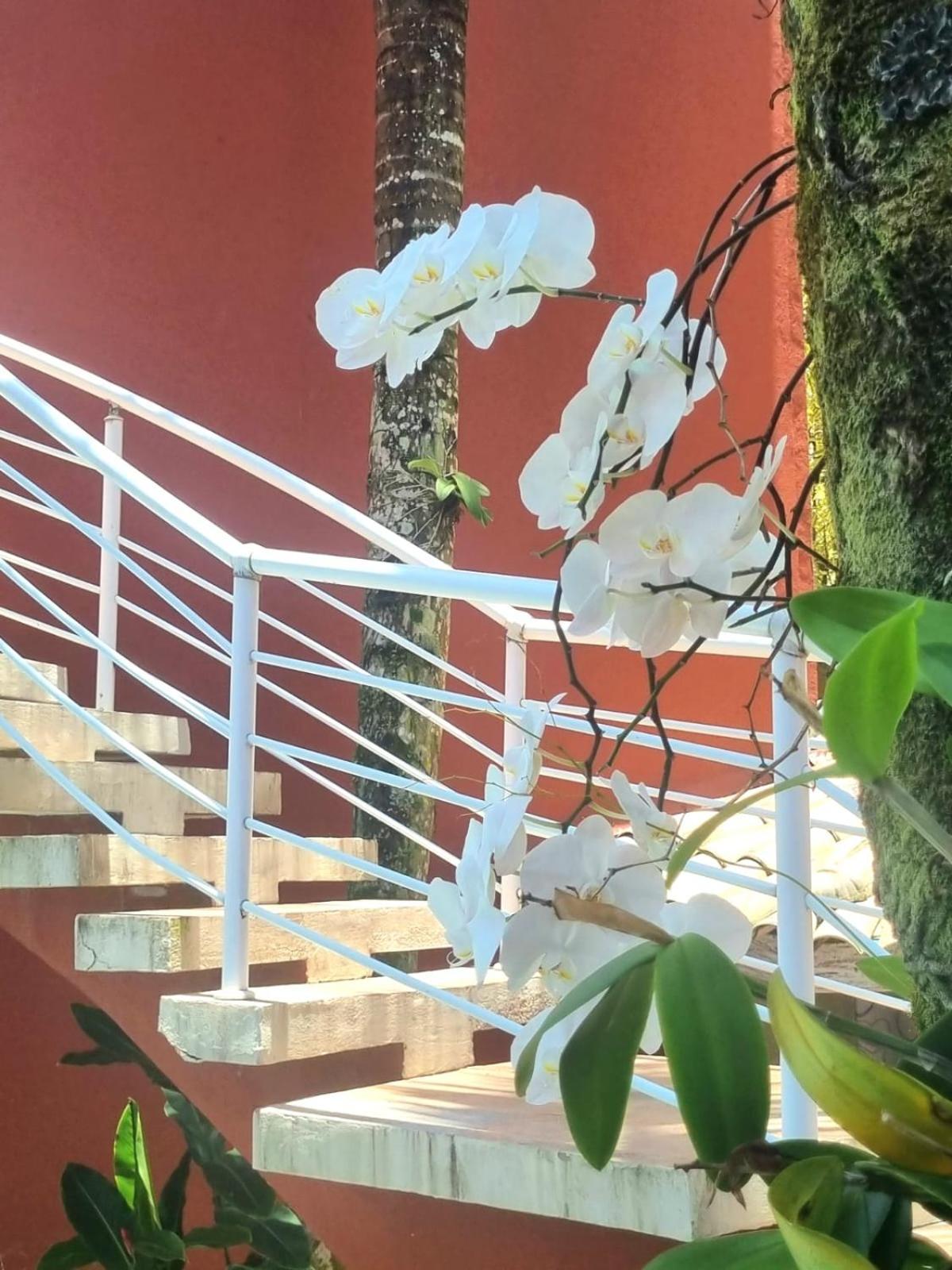 Vila Jabutis Guaruja Bagian luar foto